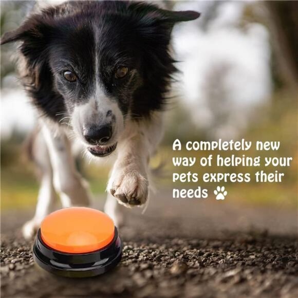 Voice Recording Button for Communication Pet Training Buzzer, 30 Second Record - Picture 6 of 8